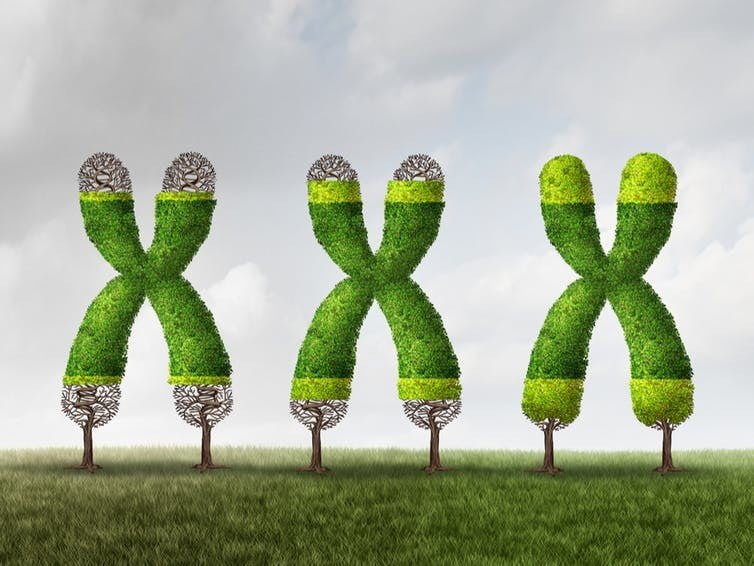 Want to live longer? Consider the ethics