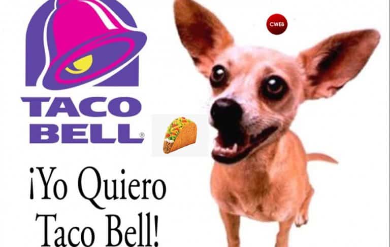 Taco Bell Plans To Feed America This Tuesday