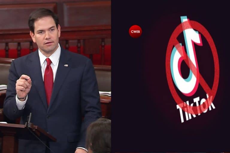 Rubio Joins Cotton, Colleagues in Urging TikTok Scrutiny Over Election Security