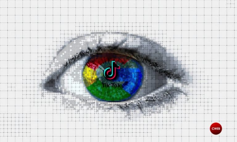 Google in Talks to Take a Minority Stake in TikTok