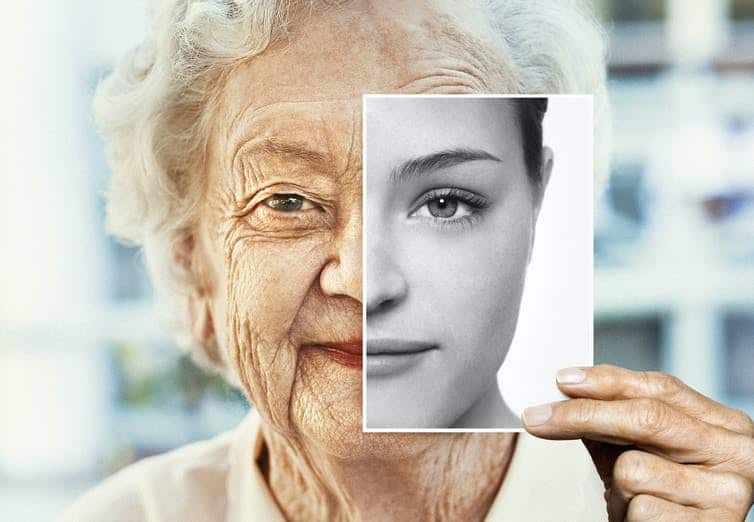 From marmots to mole-rats to marmosets — studying many genes in many animals is key to understanding how humans can live longer