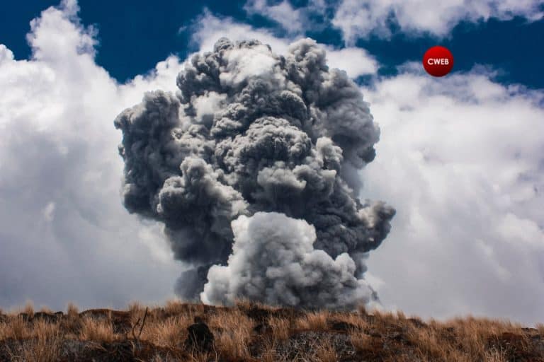 First hand videos capture massive explosion that just rocked the Lebanese capital of Beirut