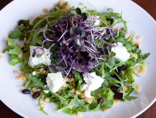 Tasty Lentils, Black Beans, Goat Cheese & Baby Green Salad