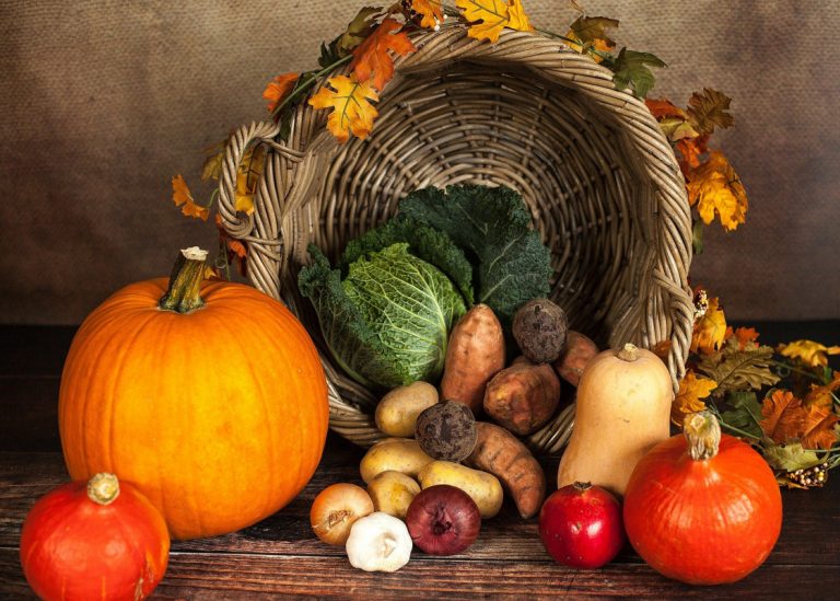 The History Of Thanksgiving In The United States Of America
