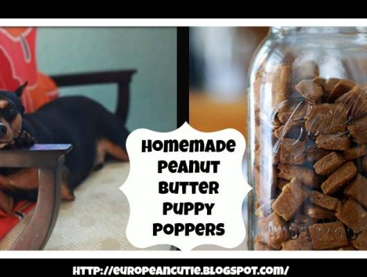 Peanut Butter Puppy Poppers you can make at home