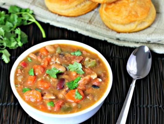 Chunky Turkey 15 Bean Soup