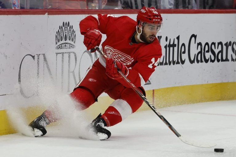 NHL News: Red Wings F Robby Fabbri (lower body) out for season