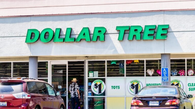 Dollar Tree Drops 7 percent on EPS Guidance Miss