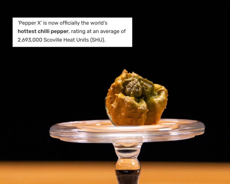 Pepper X, is 3 times spicier than its predecessor- now recorded as the hottest chili pepper