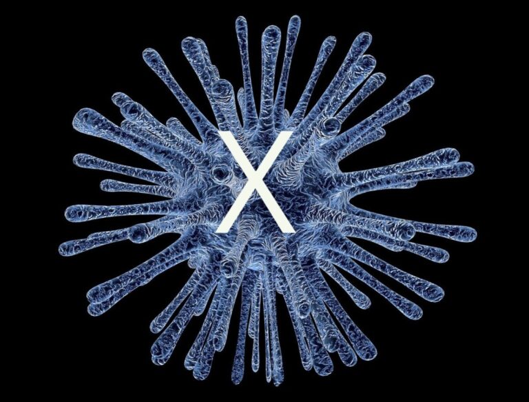 Disease X: World Health Organization Alerts to Imminent Epidemic