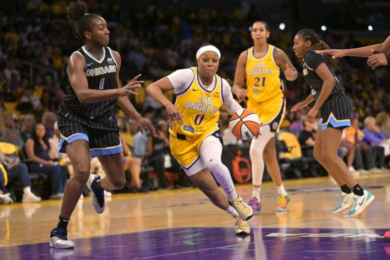 Fever sign G Odyssey Sims to hardship contract